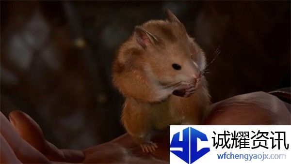 博德之门3去哪里找仓鼠-博德之门3仓鼠位置分享