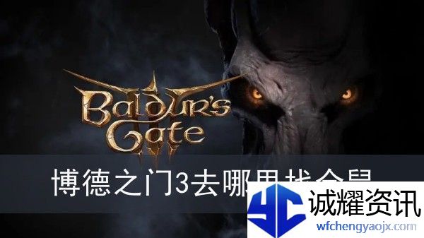 博德之门3去哪里找仓鼠-博德之门3仓鼠位置分享