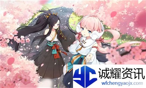 y31成色好的s31正品：探寻其品质与性价比背后的故事与魅力