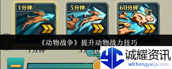 《动物战争》提升动物战力技巧