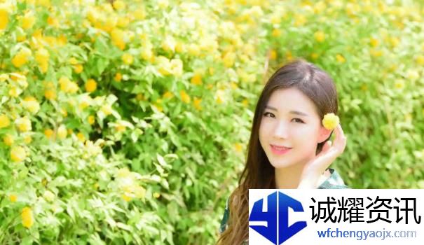 9.1视频极速版下载安装：创新之路的探索与期待