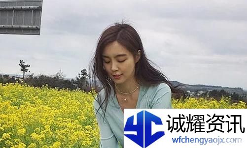 草莓樱桃丝瓜秋葵榴莲黄瓜大全：这是一场思想的盛宴