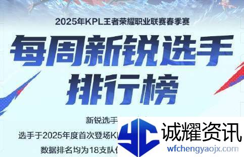 新锐选手排行榜公布
