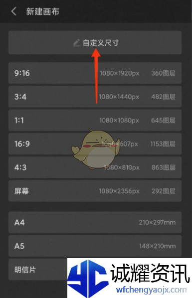 《画世界pro》自定义画布尺寸大小方法