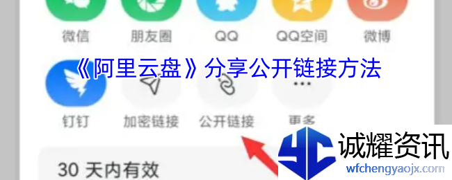 《阿里云盘》分享公开链接方法