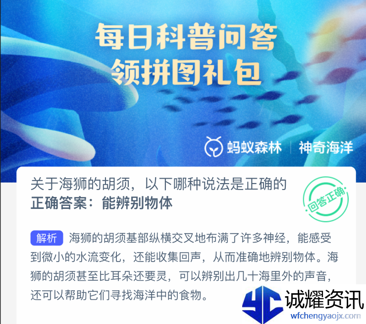 关于海狮的胡须，以下哪种说法是正确的