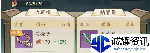 《寻道大千》仙域商途飞行舟升级需求