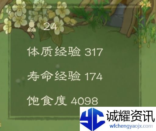 《桃源记2》提升体质方法