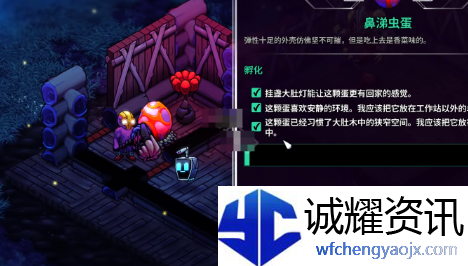 《崩溃大陆2》宠物蛋孵化方法