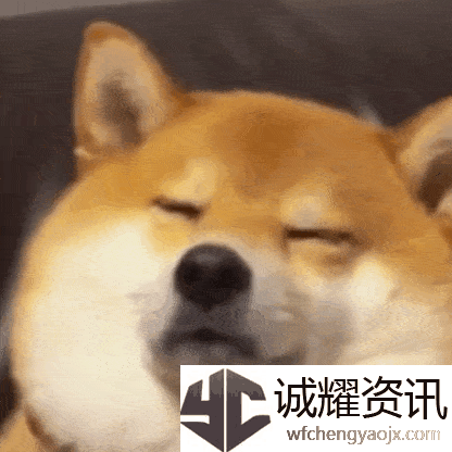 《抖音》轻轻敲醒沉睡的心灵梗的介绍