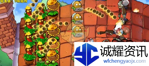 《植物大战僵尸杂交版》钢刺南瓜头挑战1通关攻略