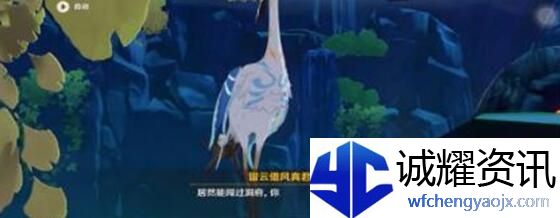 原神留云借风真君阵容搭配