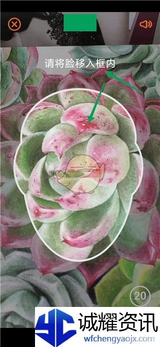 《老来》认证养老保险方法