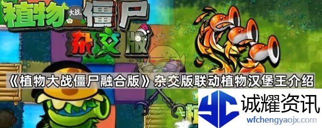 《植物大战僵尸融合版》杂交版联动植物汉堡王介绍