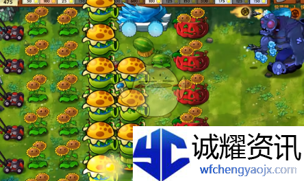 《植物大战僵尸融合版》杂交版联动植物汉堡王介绍