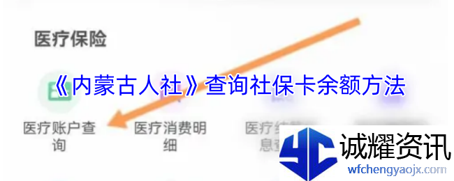 《内蒙古人社》查询社保卡余额方法