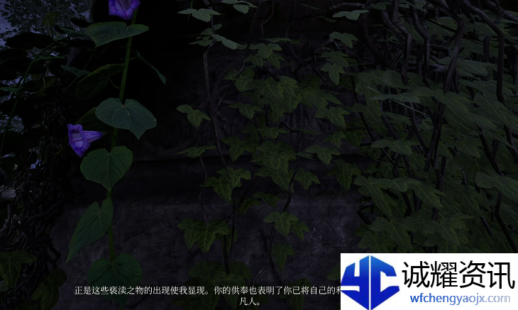 上古卷轴4重制版虎人之环怎么获得