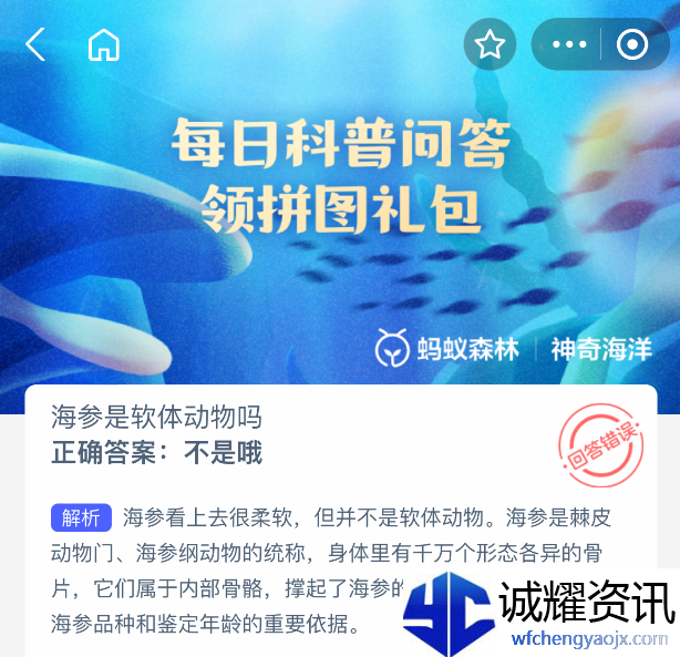 海参是软体动物吗