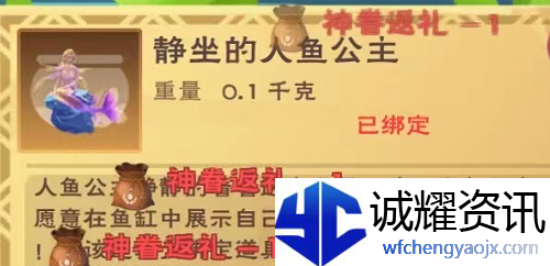 创造与魔法美人鱼在哪钓