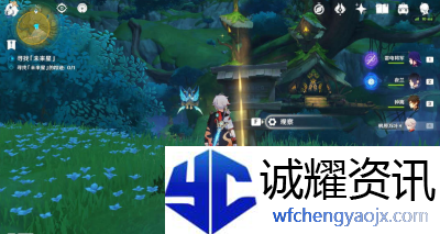 原神寻星之旅第六天怎么过