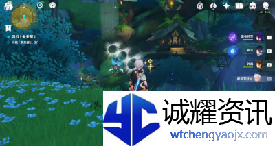 原神寻星之旅第六天怎么过