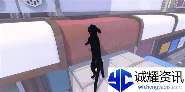 小猫咪大城市老虎帽怎么收集