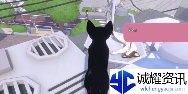 小猫咪大城市快速午睡动作怎么获得