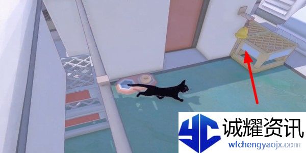 小猫咪大城市快速午睡动作怎么获得