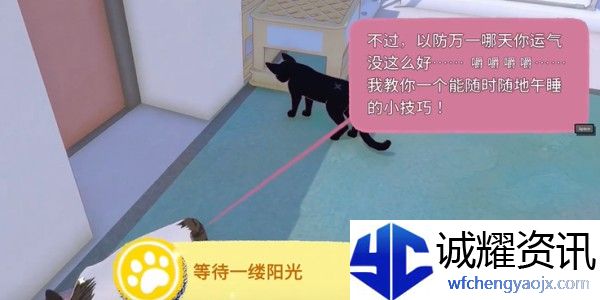 小猫咪大城市快速午睡动作怎么获得