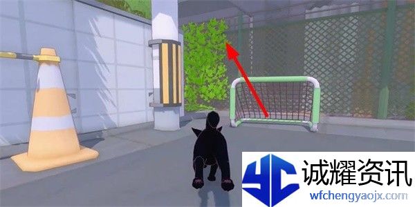 小猫咪大城市茄子帽怎么收集