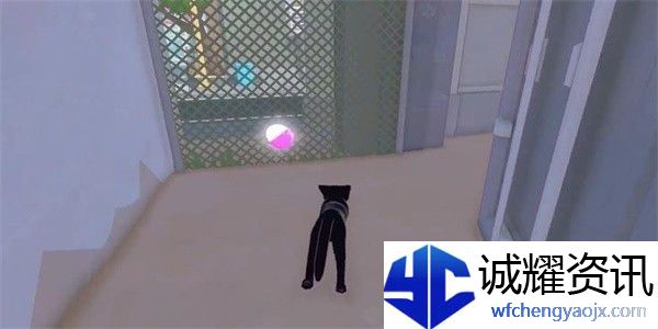 小猫咪大城市茄子帽怎么收集