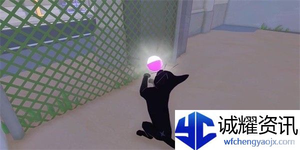 小猫咪大城市茄子帽怎么收集