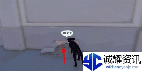 小猫咪大城市瓢虫帽怎么收集