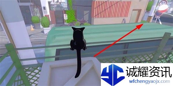 小猫咪大城市瓢虫帽怎么收集
