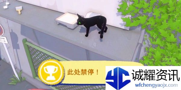 小猫咪大城市此处禁停成就攻略