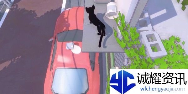 小猫咪大城市此处禁停成就攻略
