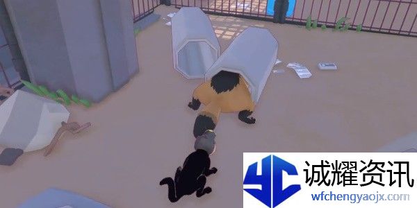 小猫咪大城市从管道中救出成就攻略