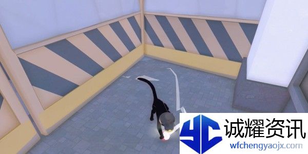 小猫咪大城市蜜柑帽怎么收集