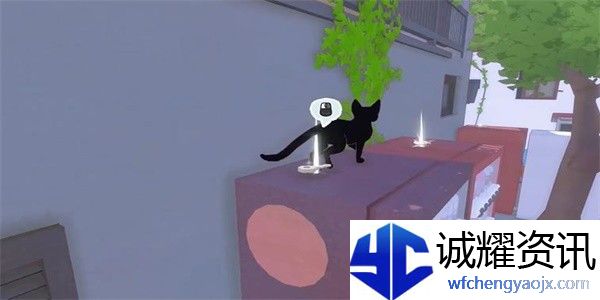 小猫咪大城市偷走园丁的午餐成就攻略