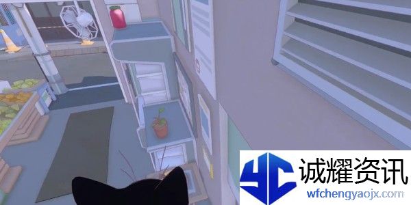 小猫咪大城市香蕉帽怎么收集
