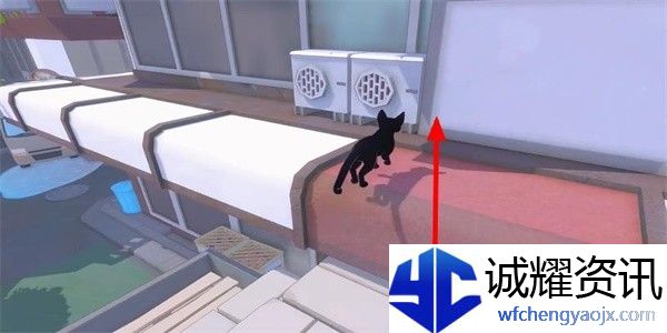 小猫咪大城市向日葵帽怎么收集