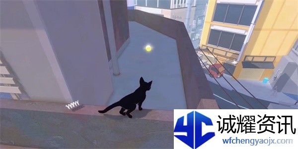 小猫咪大城市向日葵帽怎么收集