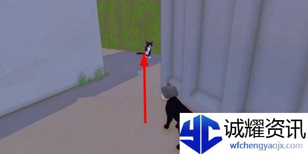 小猫咪大城市日常美容动作怎么获得