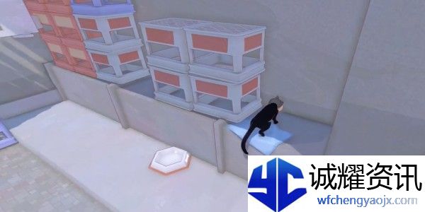 小猫咪大城市饭团帽怎么收集