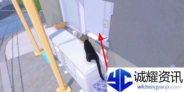 小猫咪大城市饭团帽怎么收集