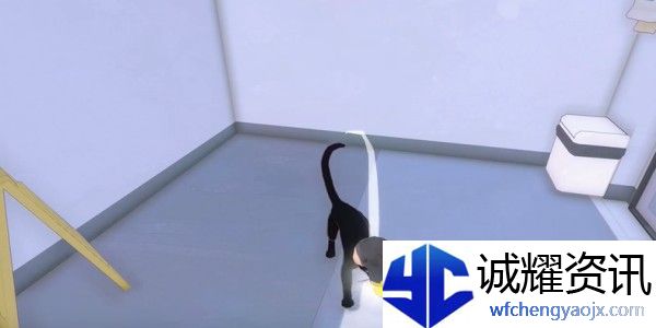 小猫咪大城市饭团帽怎么收集