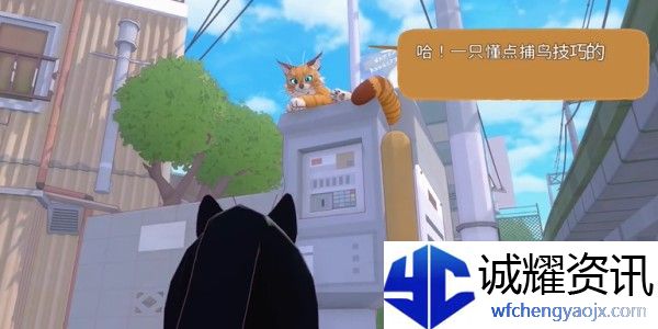 小猫咪大城市伸个大懒腰动作怎么获得