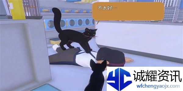 小猫咪大城市猫老大VS小柚子成就攻略