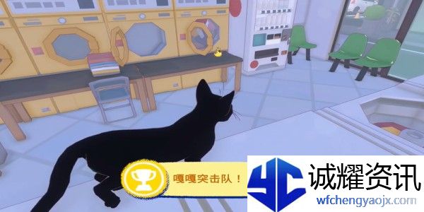 小猫咪大城市鸭子帽怎么收集