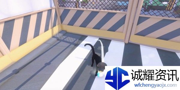 小猫咪大城市蝴蝶帽怎么收集